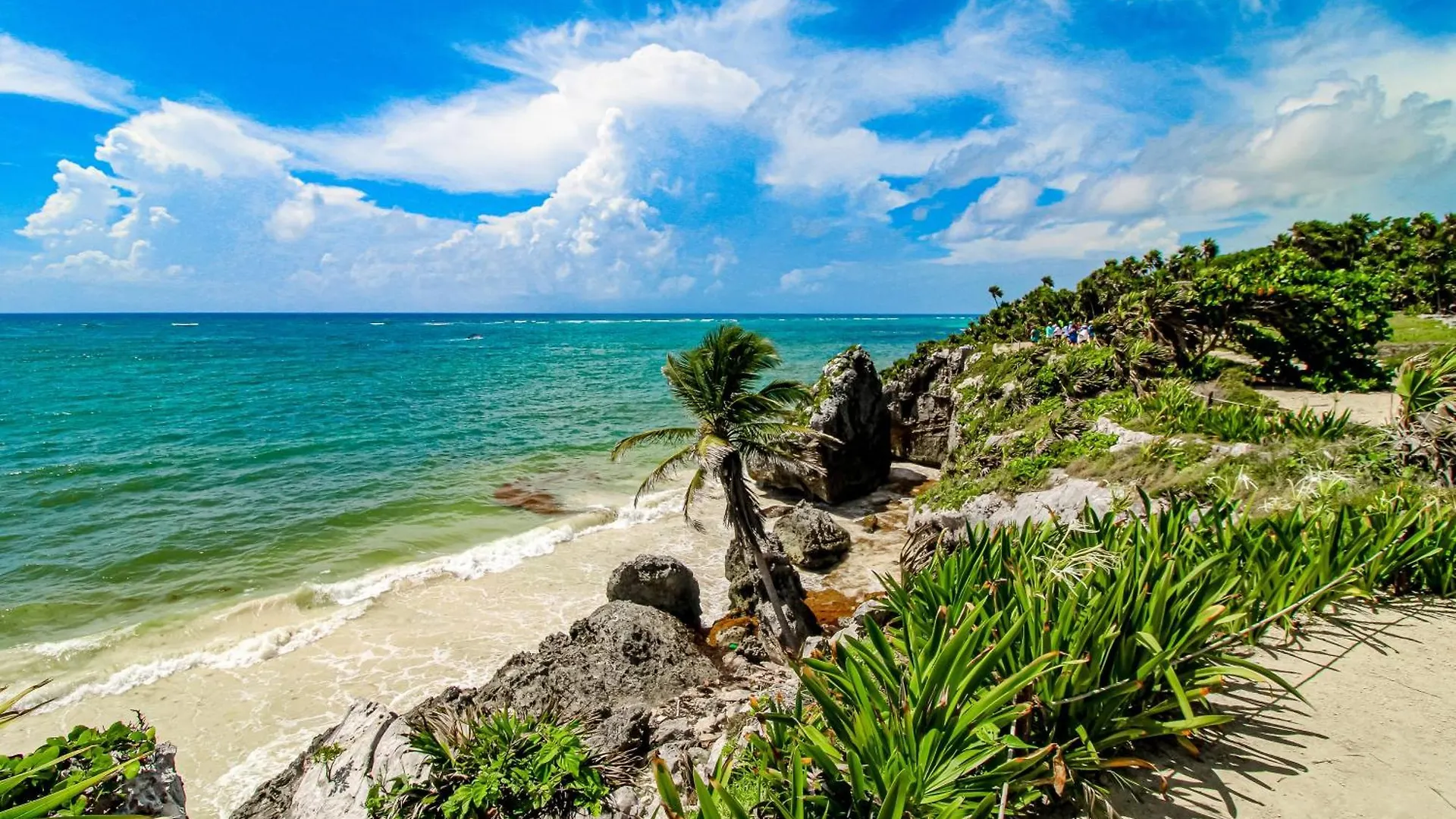 Botanica Tulum, # 302 Ph, Aldea Zama One Bedroom Appartement Tulum