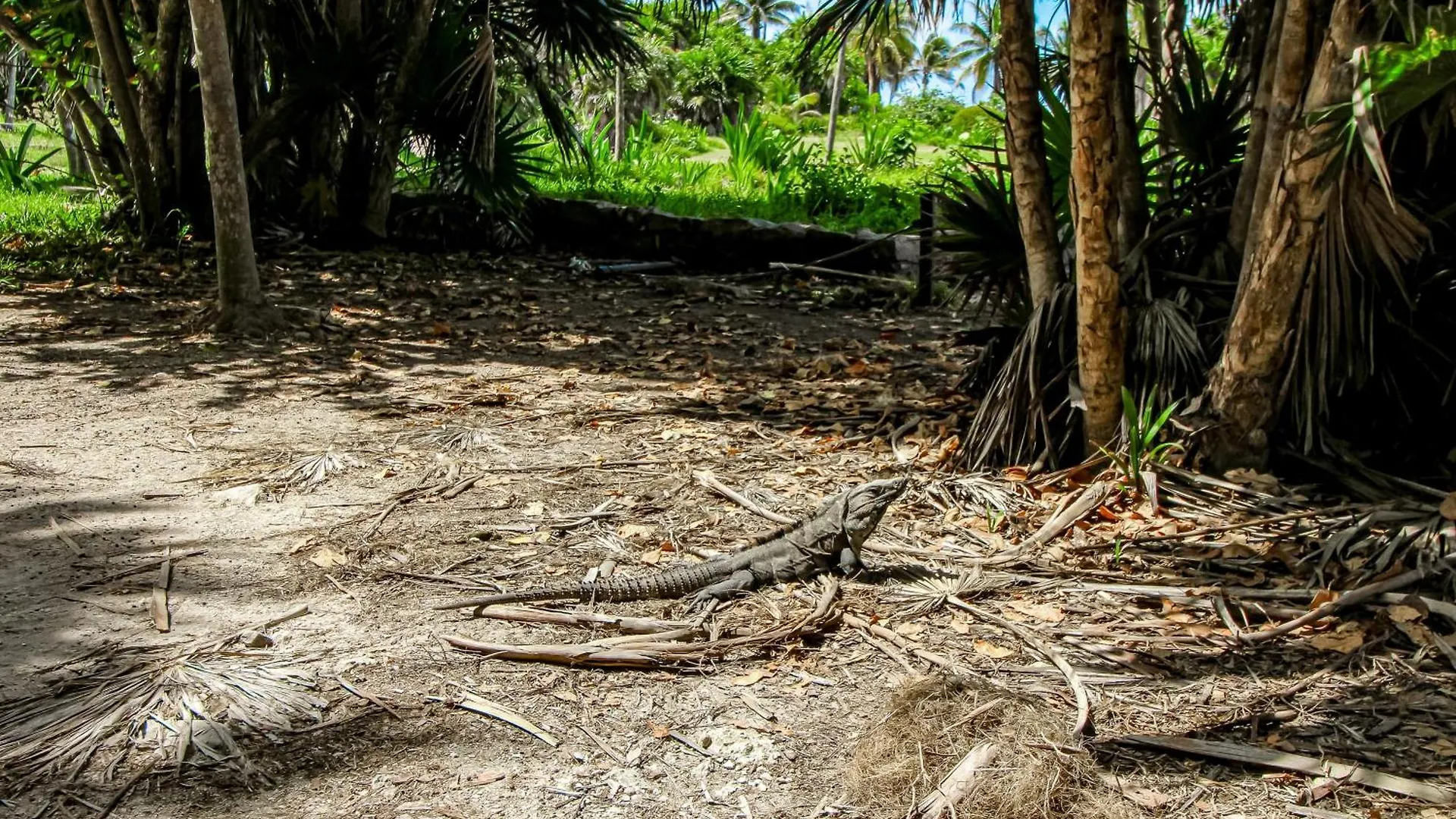 Appartement Botanica Tulum, # 302 Ph, Aldea Zama One Bedroom Mexique
